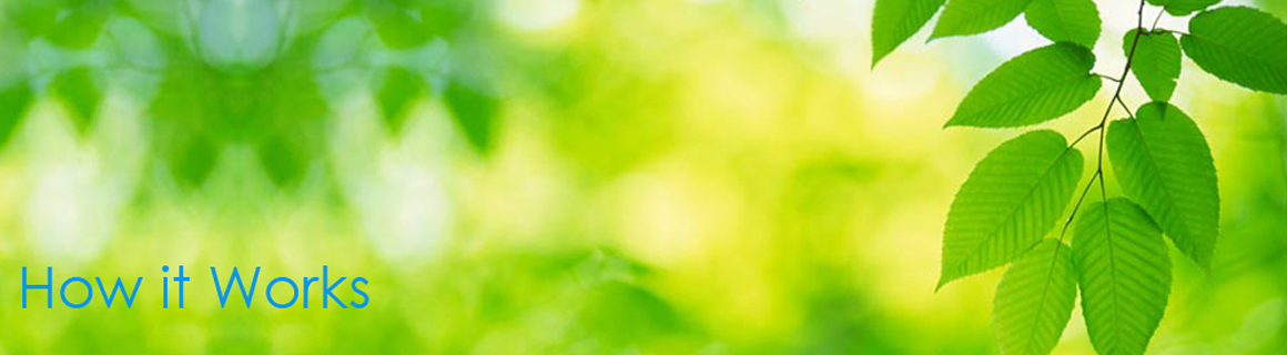 How Does Nanosilver Work