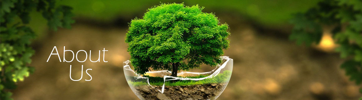 Silver Nanotechnology for Bacteria