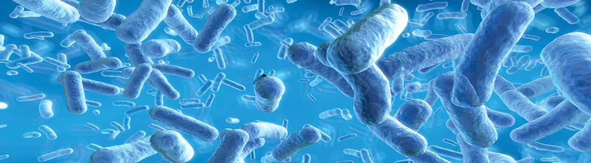 Non-toxic silver nanoparticles